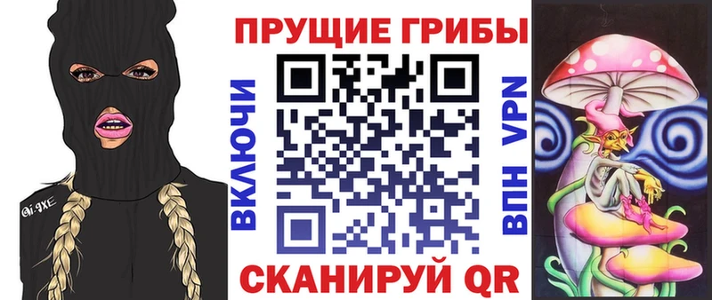 дарнет шоп  Суоярви  Псилоцибиновые грибы MAGIC MUSHROOMS 